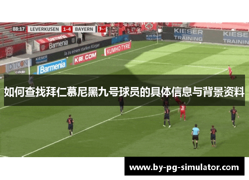 如何查找拜仁慕尼黑九号球员的具体信息与背景资料