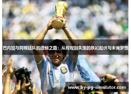巴内加与阿根廷队的遗憾之路：从辉煌到失落的跌宕起伏与未竟梦想