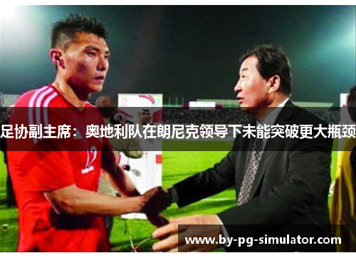 足协副主席：奥地利队在朗尼克领导下未能突破更大瓶颈