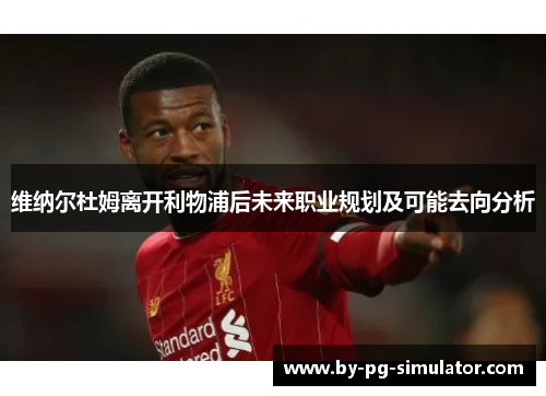 维纳尔杜姆离开利物浦后未来职业规划及可能去向分析